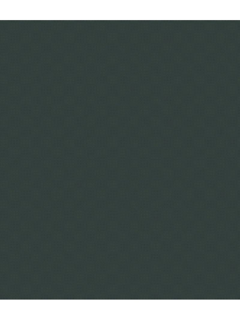 IMAGE_T