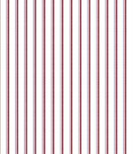 IMAGE_T
