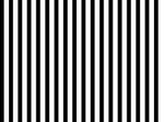 IMAGE_L
