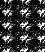 IMAGE_T