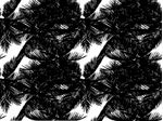 IMAGE_L