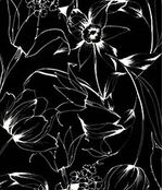IMAGE_T