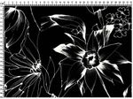 IMAGE_L