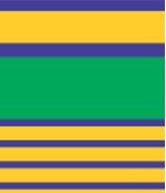 IMAGE_T
