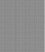 IMAGE_T