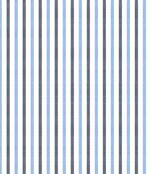IMAGE_T