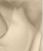 IMAGE_T