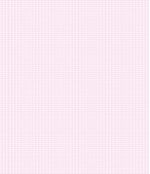 IMAGE_T