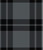 IMAGE_T