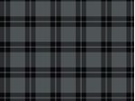 IMAGE_L