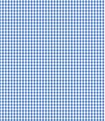 IMAGE_T