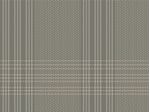 IMAGE_L