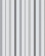 IMAGE_T