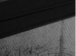 IMAGE_L