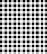 IMAGE_T