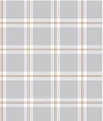 IMAGE_T