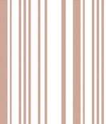 IMAGE_T