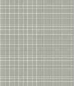 IMAGE_T