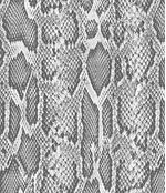 IMAGE_T