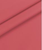 IMAGE_T