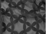 IMAGE_L
