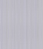 IMAGE_T
