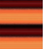 IMAGE_T
