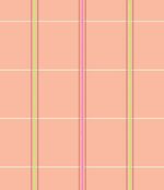 IMAGE_T