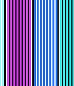 IMAGE_T