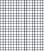 IMAGE_T