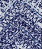 IMAGE_T