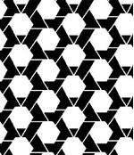 IMAGE_T