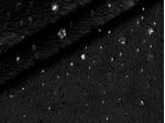IMAGE_L