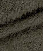 IMAGE_T