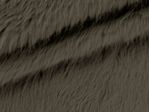 IMAGE_L