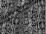 IMAGE_L