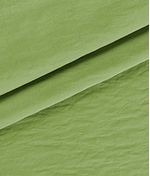 IMAGE_T