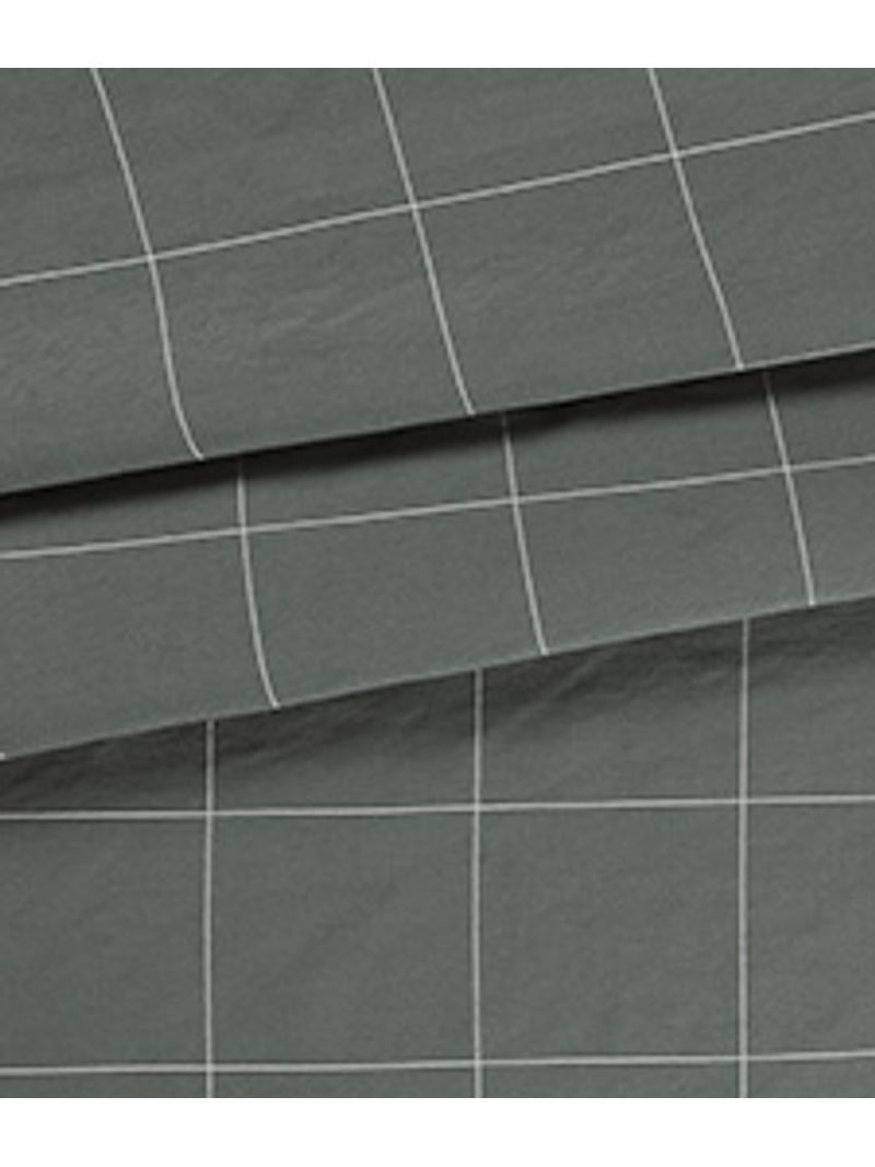 IMAGE_T