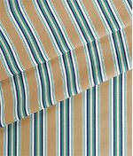 IMAGE_T