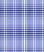 IMAGE_T