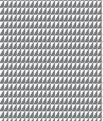 IMAGE_T