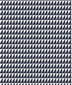 IMAGE_T