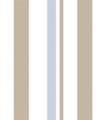 IMAGE_T