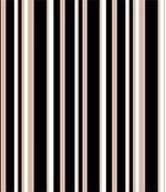 IMAGE_T