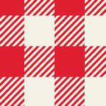 IMAGE_T