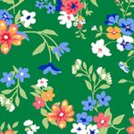 IMAGE_T
