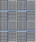 IMAGE_T