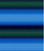 IMAGE_T
