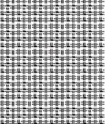 IMAGE_T