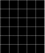 IMAGE_T